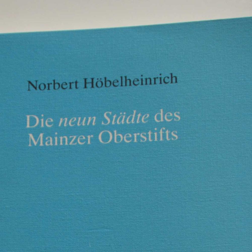 Die neun Städte des Mainzer Oberstifts